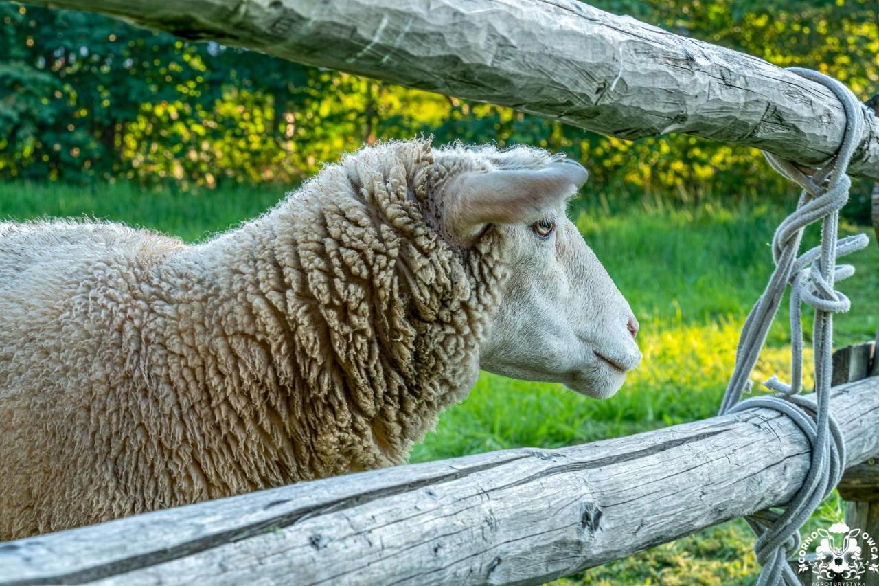 Agroturystyka Corno Owca Zabnica Bagian luar foto